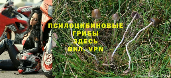 дживик Кирс