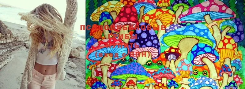 Галлюциногенные грибы Psilocybine cubensis  купить наркотики сайты  Агрыз 